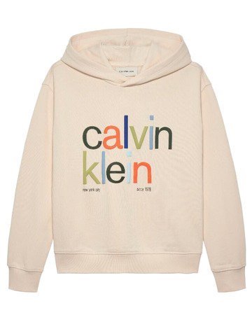 SUDADERA NIÑO  CALVIN KLEIN COLOR LOGO GRAPHIC TERRY HOODI