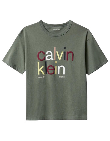 CAMISETA NIÑO  CALVIN KLEIN COLOR LOGO GRAPHIC SS T-SHIRT