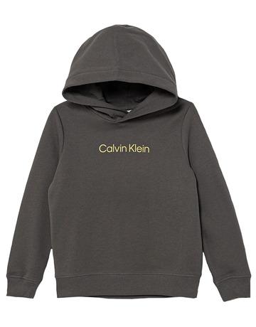 SUDADERA   CALVIN KLEIN INST. LOGO REG. TERRY HOODIE