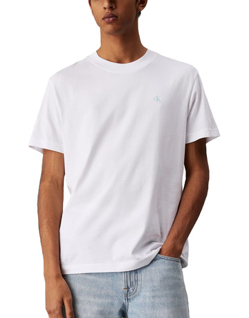 CAMISETA HOMBRE  CALVIN KLEIN PAINTED CALVIN KLEIN JEANS TEE