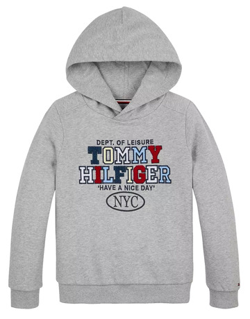 SUDADERA NIÑO TOMMY HILFIGER CON CAPUCHA LOGO TOALLA