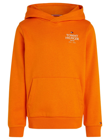 SUDADERA CON CAPUCHA NIÑO TOMMY HILFIGER CON LOGO