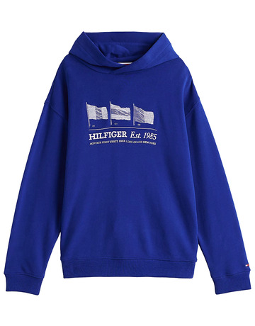 Añadir a la cesta SUDADERA CON CAPUCHA NIÑO TOMMY HILFIGER GRÁFICO BANDERA SUDADERA CON CAPUCHA NIÑO TOMMY HILFIGER GRÁFICO BANDERA