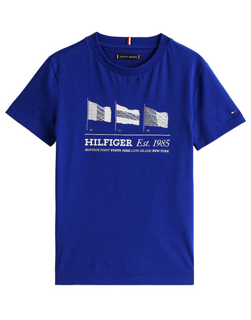 CAMISETA NIÑO TOMMY HILFIGER GRÁFICO BANDERA