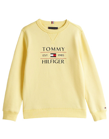 SUDADERA NIÑO TOMMY HILFIGER CON LOGO