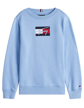 Añadir a la cesta SUDADERA NIÑO TOMMY HILFIGER CON LOGO SUDADERA NIÑO TOMMY HILFIGER CON LOGO