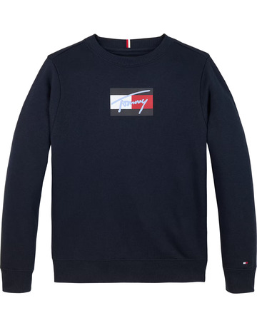 SUDADERA NIÑO TOMMY HILFIGER CON LOGO