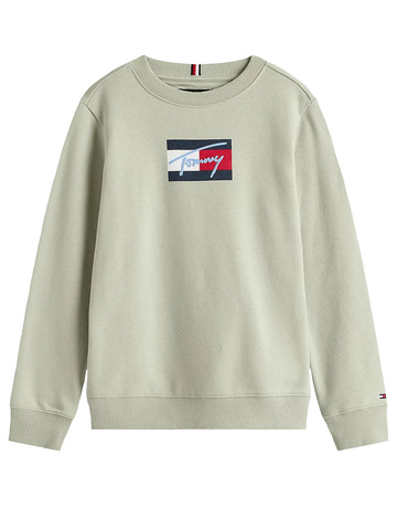 SUDADERA NIÑO TOMMY HILFIGER CON LOGO