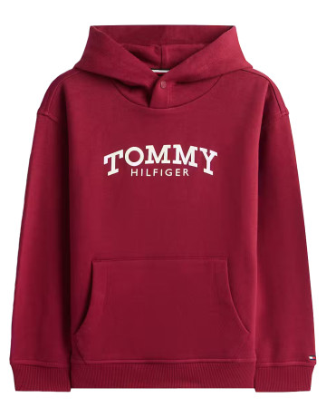 NIÑO MONOTYPE PRINT HOODIE VK0