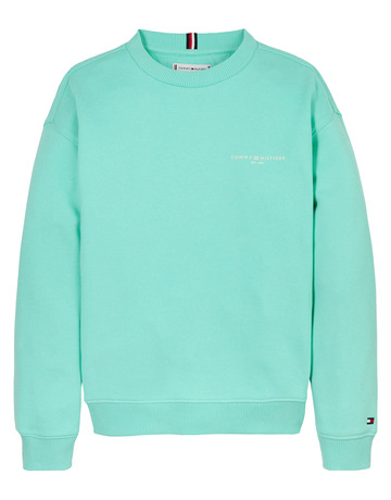 SUDADERA INFANTIL TOMMY HILFIGER CON LOGO