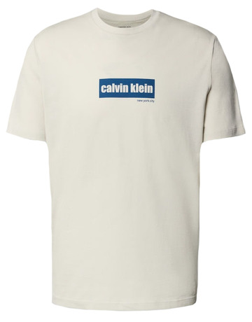 CAMISETA HOMBRE  CALVIN KLEIN M SS 30S EU CALVIN LINE BOGO G