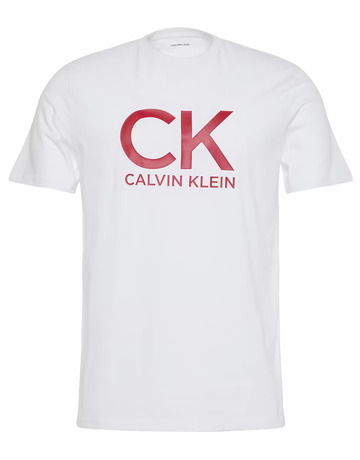 CAMISETA HOMBRE  CALVIN KLEIN M SS 30S EU CK CALVIN GRAPHIC