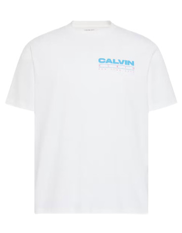 CAMISETA HOMBRE  CALVIN KLEIN M SS 20S CALVIN DISC STACK GRA