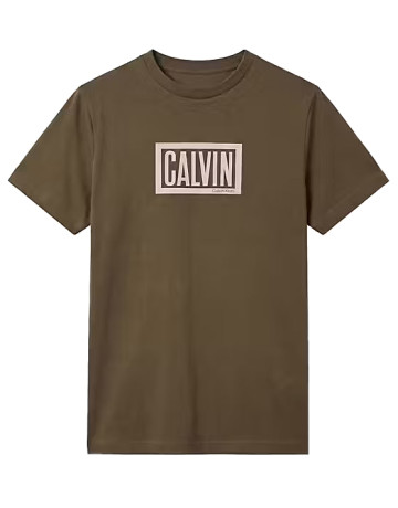 CAMISETA HOMBRE  CALVIN KLEIN M SS 30S EU BOXED CALVIN GRAPH