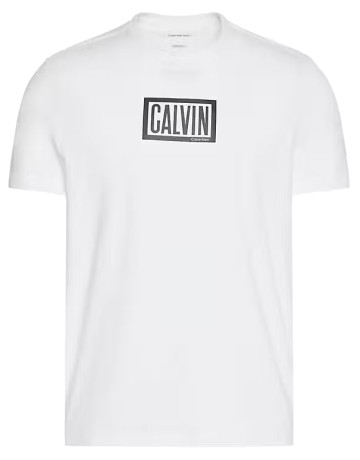 CAMISETA HOMBRE  CALVIN KLEIN M SS 30S EU BOXED CALVIN GRAPH