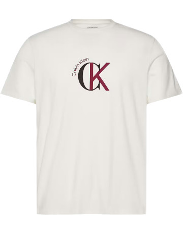 CAMISETA HOMBRE  CALVIN KLEIN M SS 30S WHSL CKJ 2TONE CK GRA