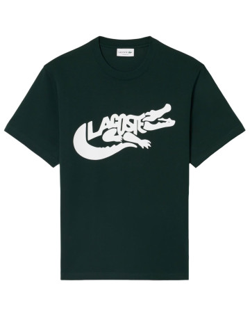 HOMBRE TEE-SHIRTS & COLS ROULES YZP