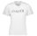 CAMISETA MUJER  GAUDI T-SHIRT M/C