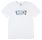 CAMISETA NIÑO LEVI'S LOGO BATWING WAVES TALLAJE ADOLESCENTE