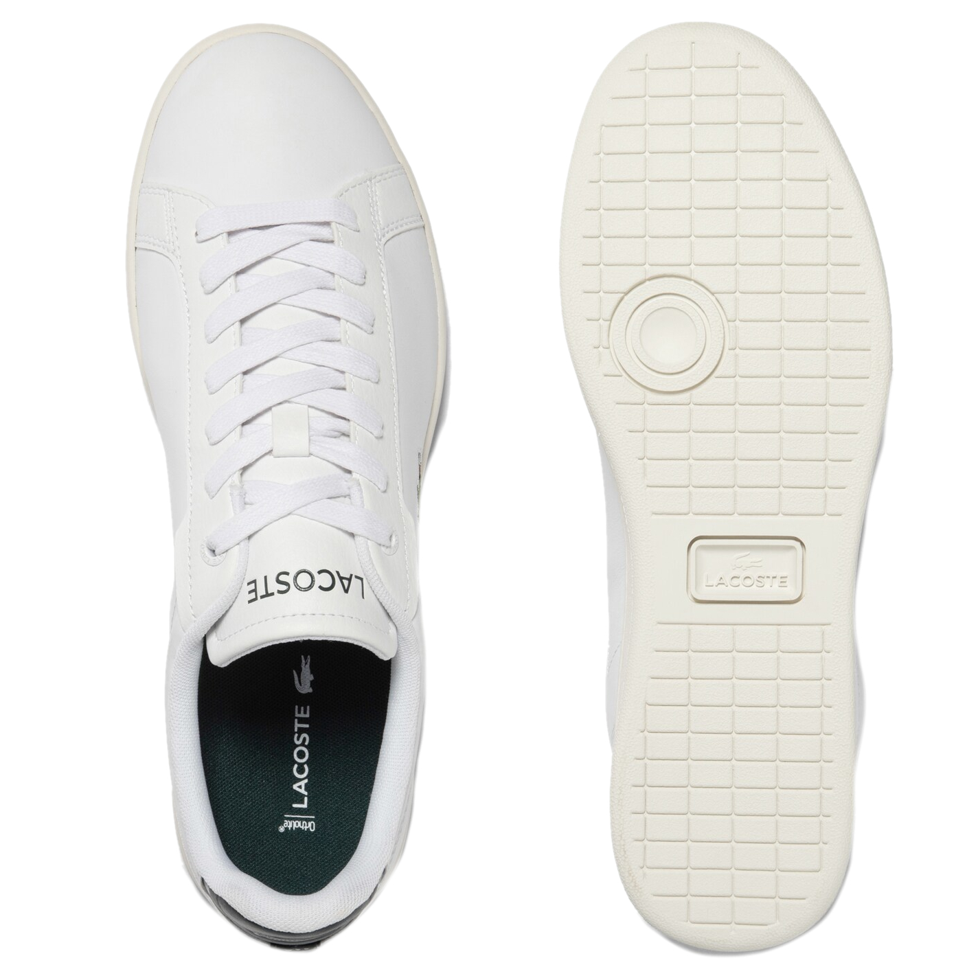 Lacoste carnaby evo hombre outlet