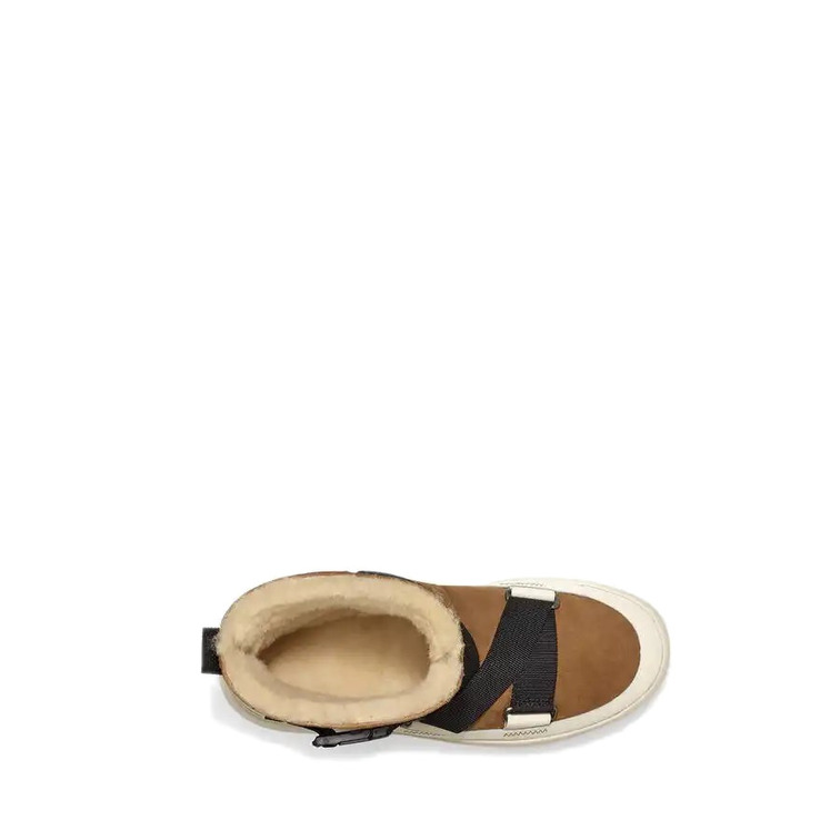 BOTA MUJER  UGG W CLASSIC BOOM BUCKLE