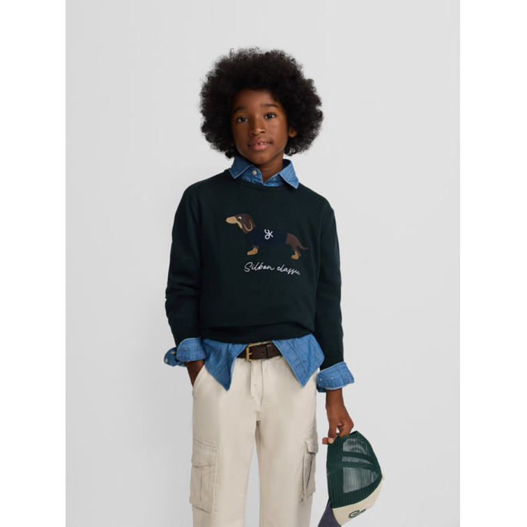 JERSEY NIÑO  SILBON JERSEY KIDS DOG VERDE