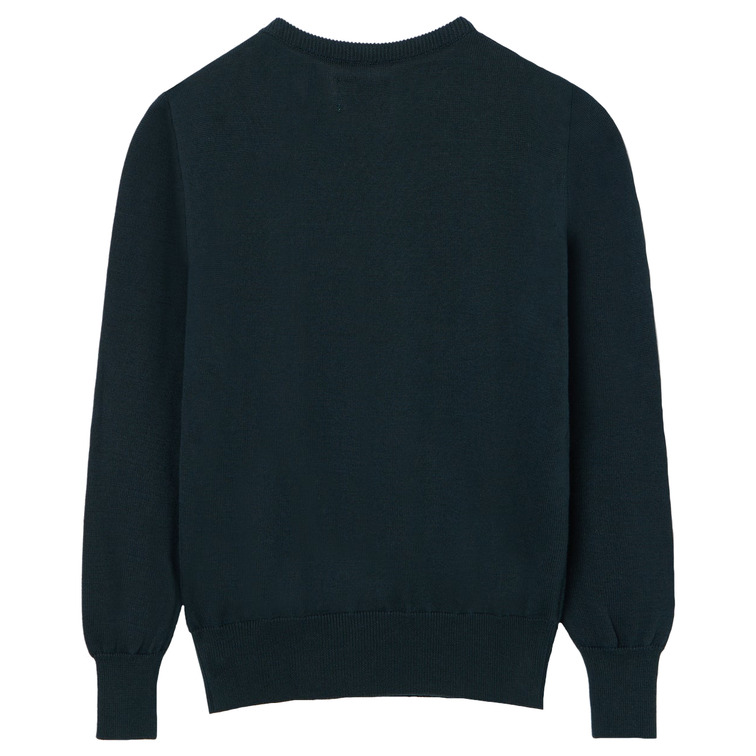 JERSEY NIÑO  SILBON JERSEY KIDS DOG VERDE