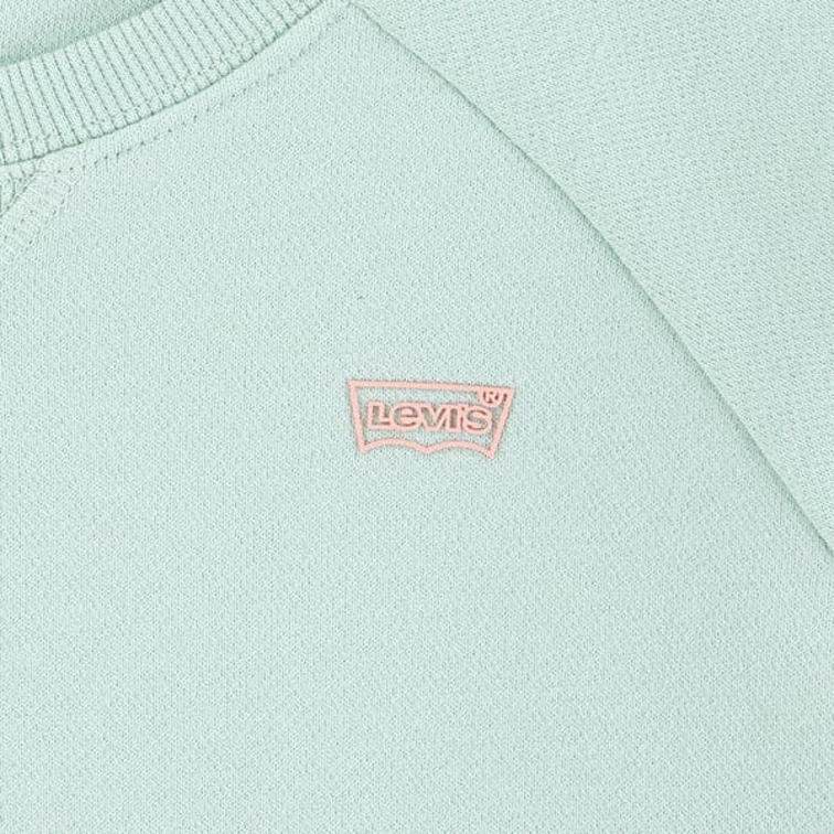 SUDADERA NIÑA  LEVI'S LVG LEVIS HD SILICONE BATWING