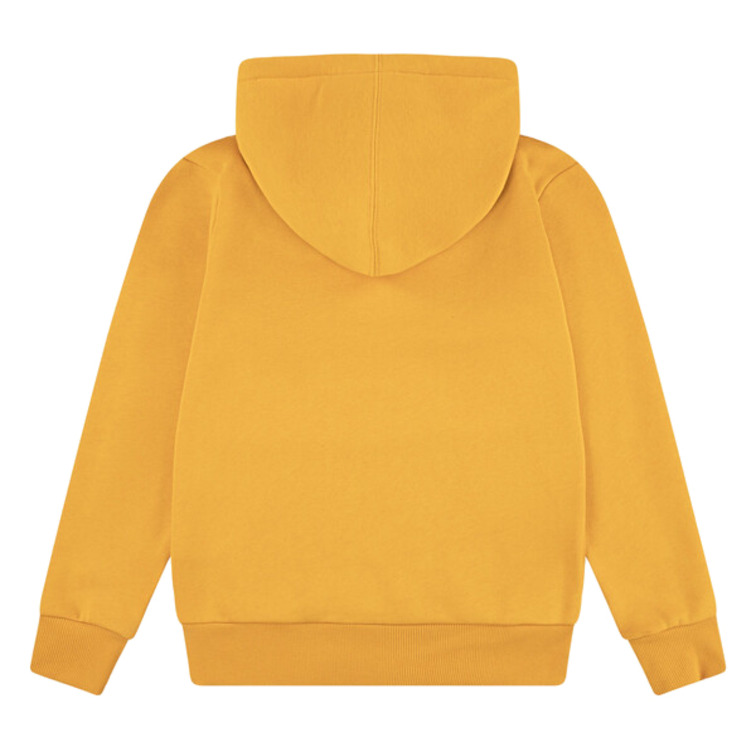 SUDADERA CON CAPUCHA NIÑO LEVI'S LOGO BATWING TALLAJE ADOLESCENTE