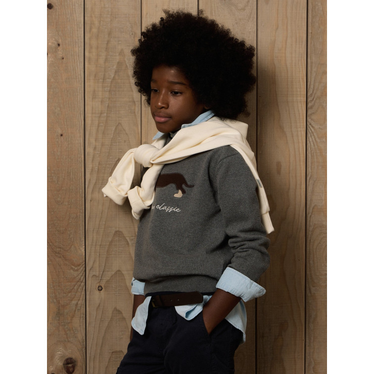 JERSEY NIÑO  SILBON JERSEY KIDS DOG