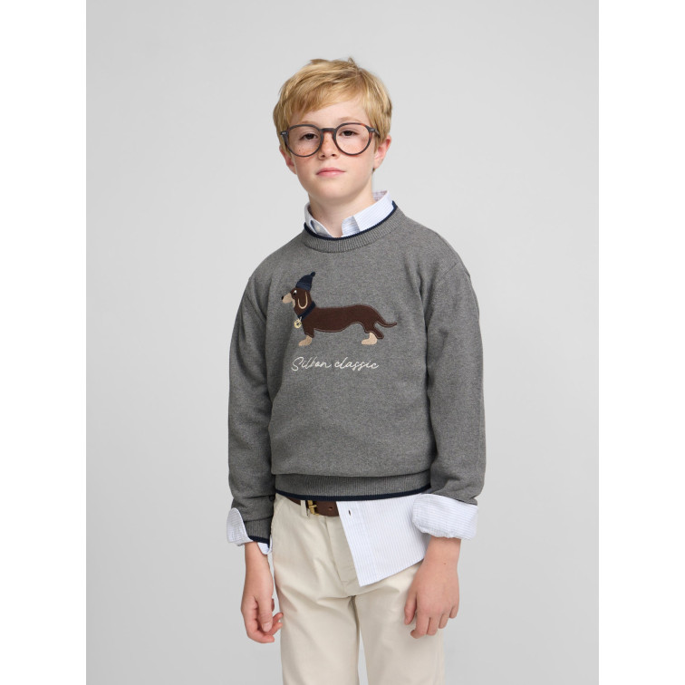JERSEY NIÑO  SILBON JERSEY KIDS DOG