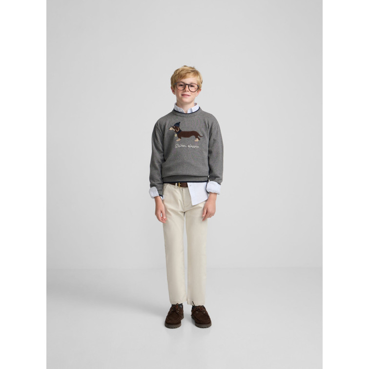 JERSEY NIÑO  SILBON JERSEY KIDS DOG