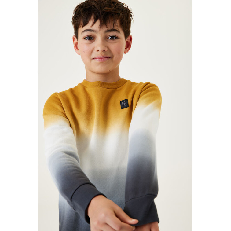 SUDADERA ESTAMPADO DEGRADADO NIÑO GARCIA JEANS