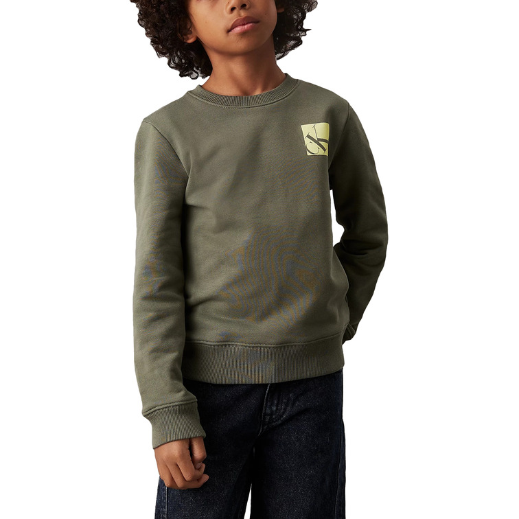SUDADERA NIÑO CALVIN KLEIN CON LOGO FIT HOLGADO