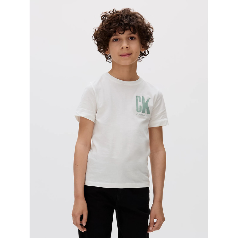 CAMISETA NIÑO  CALVIN KLEIN CHEST SURF GRAPHIC T-SHIRT