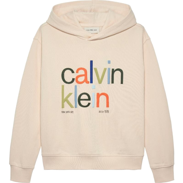 SUDADERA NIÑO  CALVIN KLEIN COLOR LOGO GRAPHIC TERRY HOODI