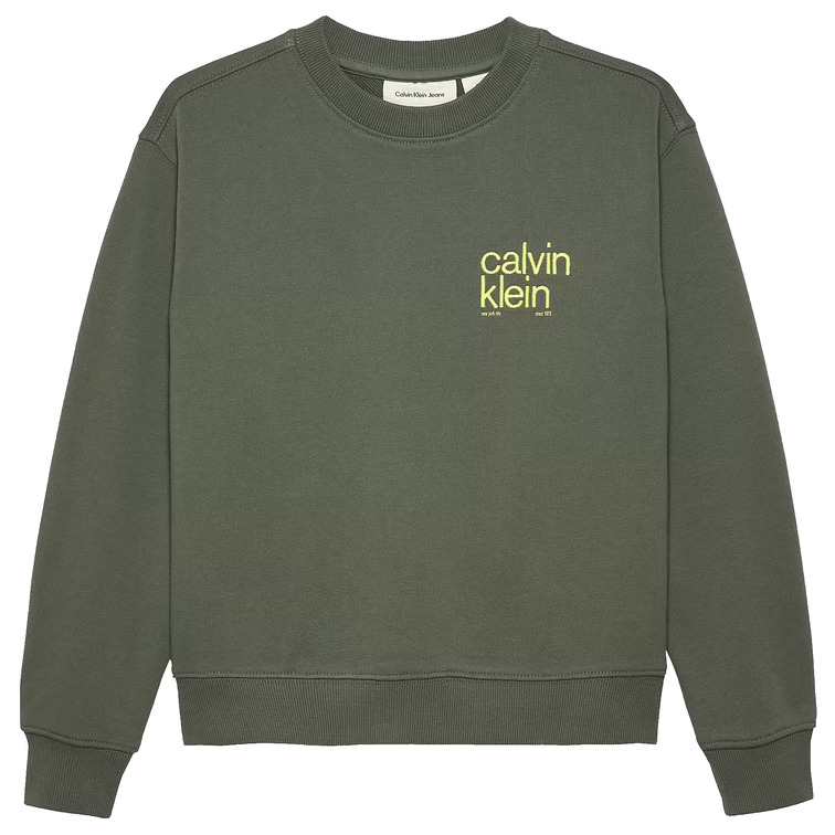 SUDADERA NIÑO  CALVIN KLEIN RELAXED BACK PRINT CN SWEATSHI