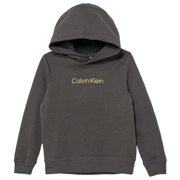 SUDADERA   CALVIN KLEIN INST. LOGO REG. TERRY HOODIE