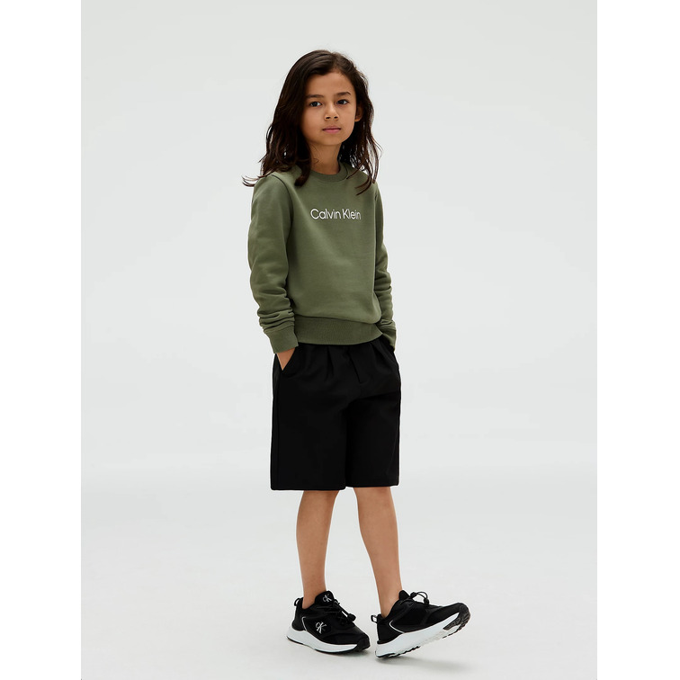 SUDADERA   CALVIN KLEIN INST. LOGO REGULAR CN