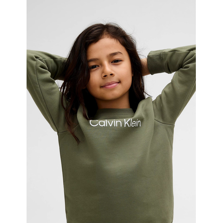SUDADERA   CALVIN KLEIN INST. LOGO REGULAR CN
