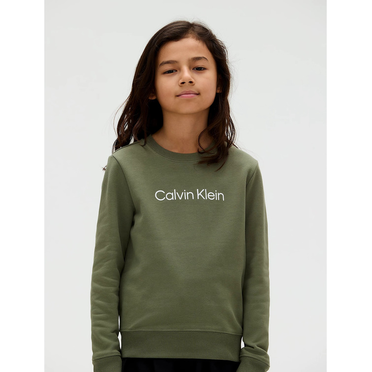 SUDADERA   CALVIN KLEIN INST. LOGO REGULAR CN