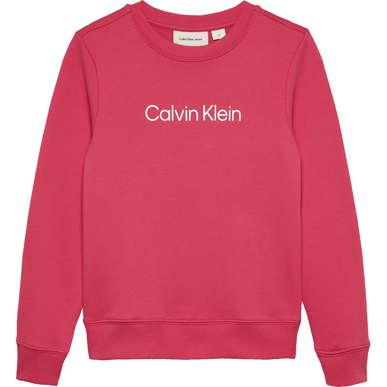 SUDADERA   CALVIN KLEIN INST. LOGO REGULAR CN
