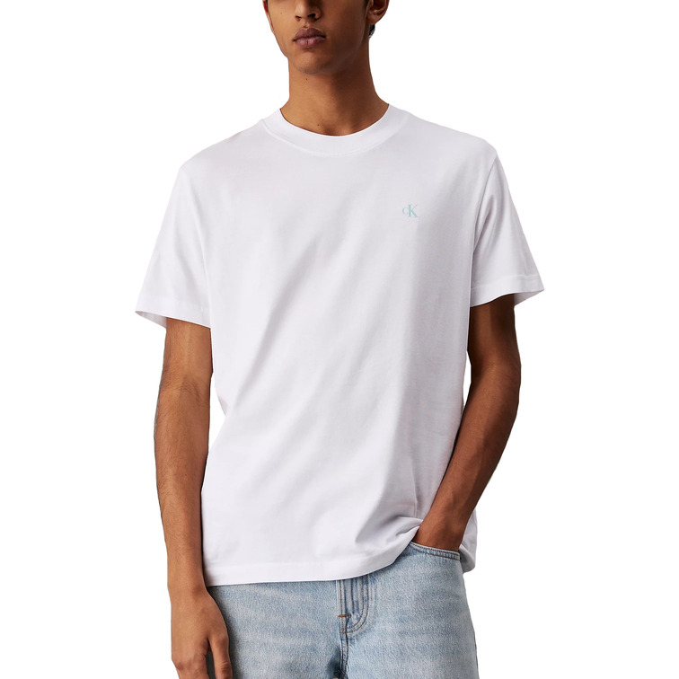 CAMISETA HOMBRE  CALVIN KLEIN PAINTED CALVIN KLEIN JEANS TEE