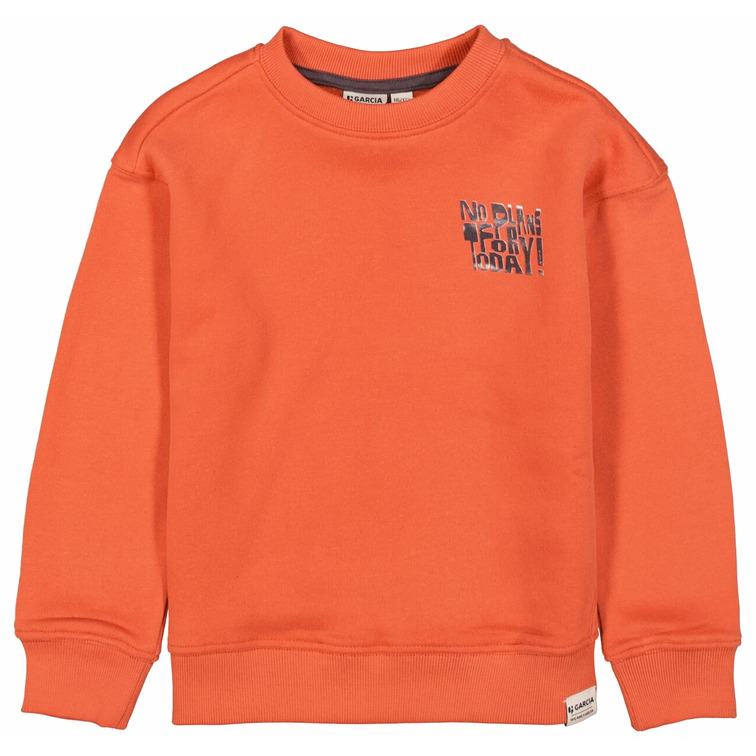 SUDADERA NIÑO  GARCIA JEANS J55465_BOYS SWEAT