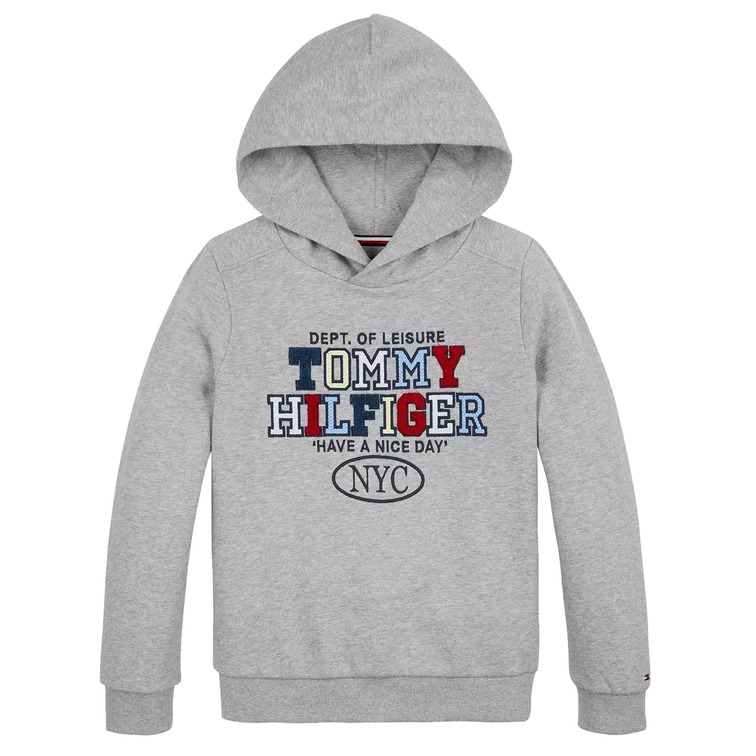 SUDADERA NIÑO TOMMY HILFIGER CON CAPUCHA LOGO TOALLA