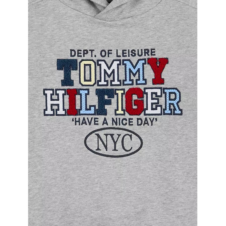 SUDADERA NIÑO TOMMY HILFIGER CON CAPUCHA LOGO TOALLA