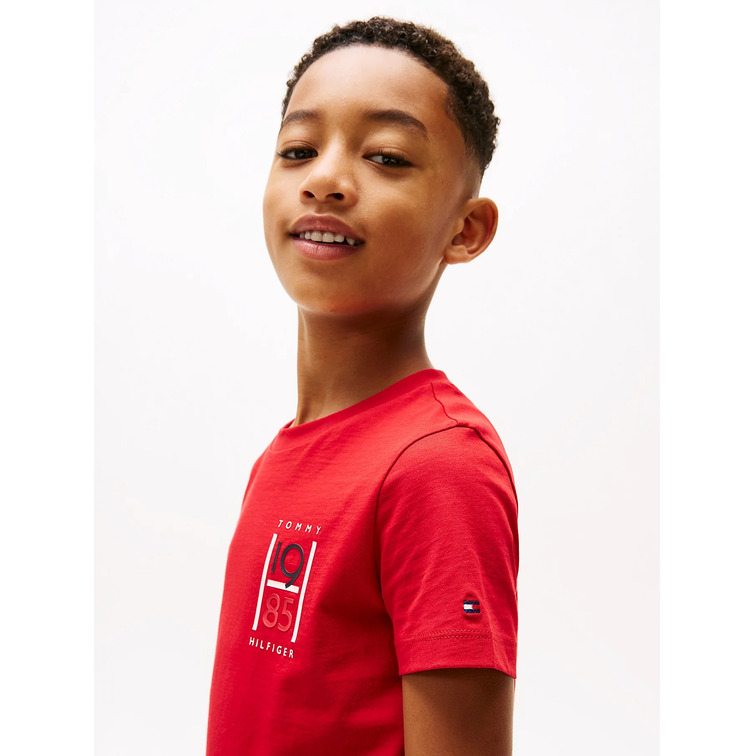 CAMISETA NIÑO TOMMY HILFIGER CON LOGO GRAFICO