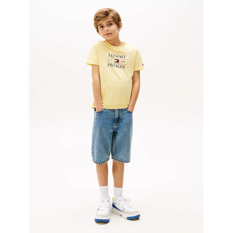 CAMISETA NIÑO TOMMY HILFIGER CON LOGO FIT REGULAR