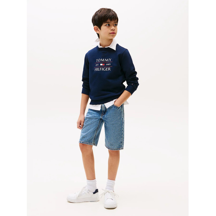 SUDADERA NIÑO TOMMY HILFIGER CON LOGO