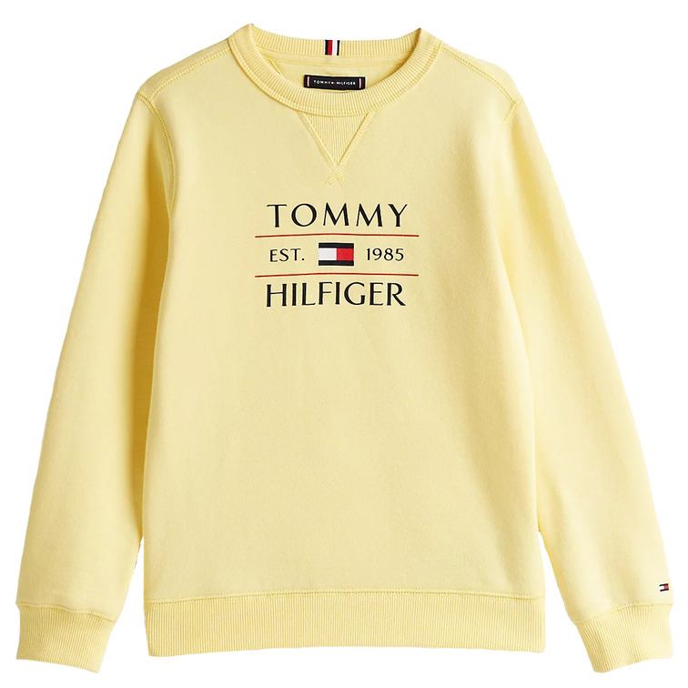 SUDADERA NIÑO TOMMY HILFIGER CON LOGO